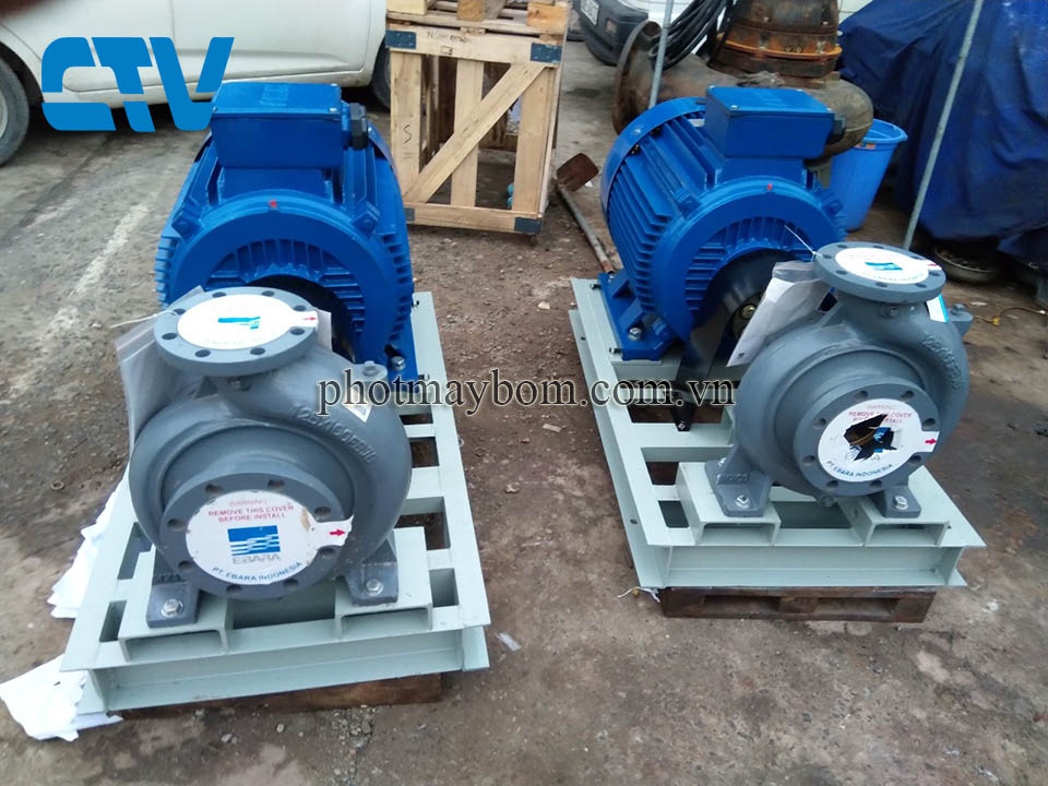 Máy bơm nước công nghiệp Italy chính hãng, chất lượng